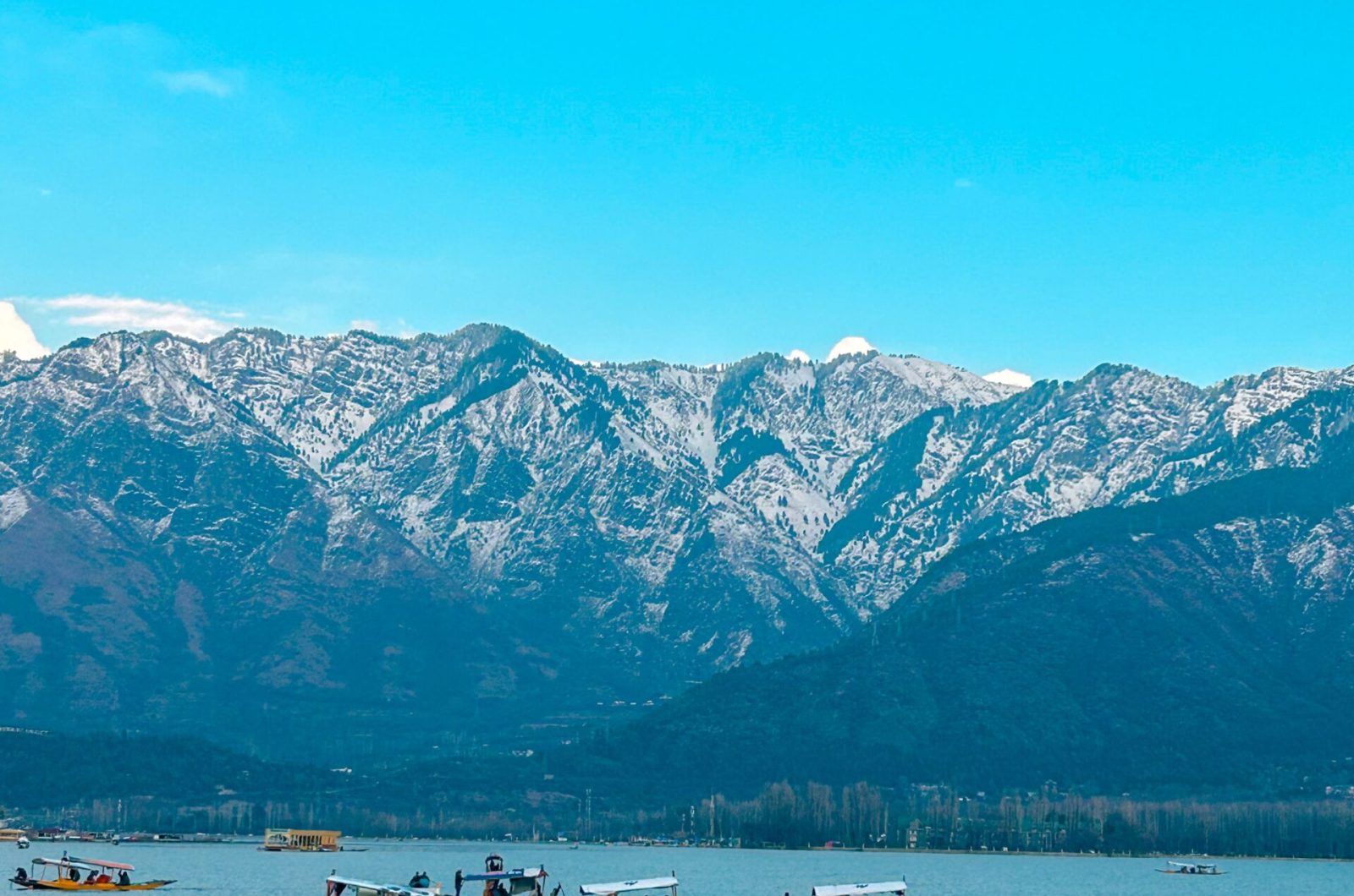 kashmir